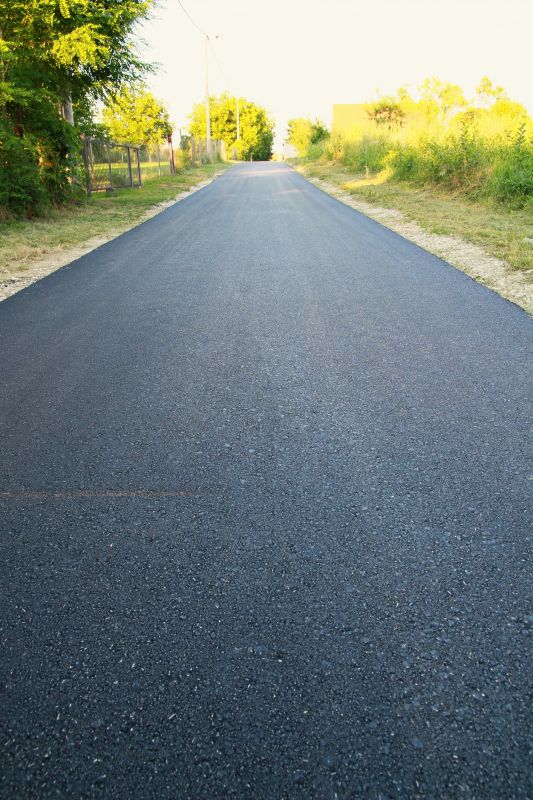 Freshly Paved Asphalt Driveway